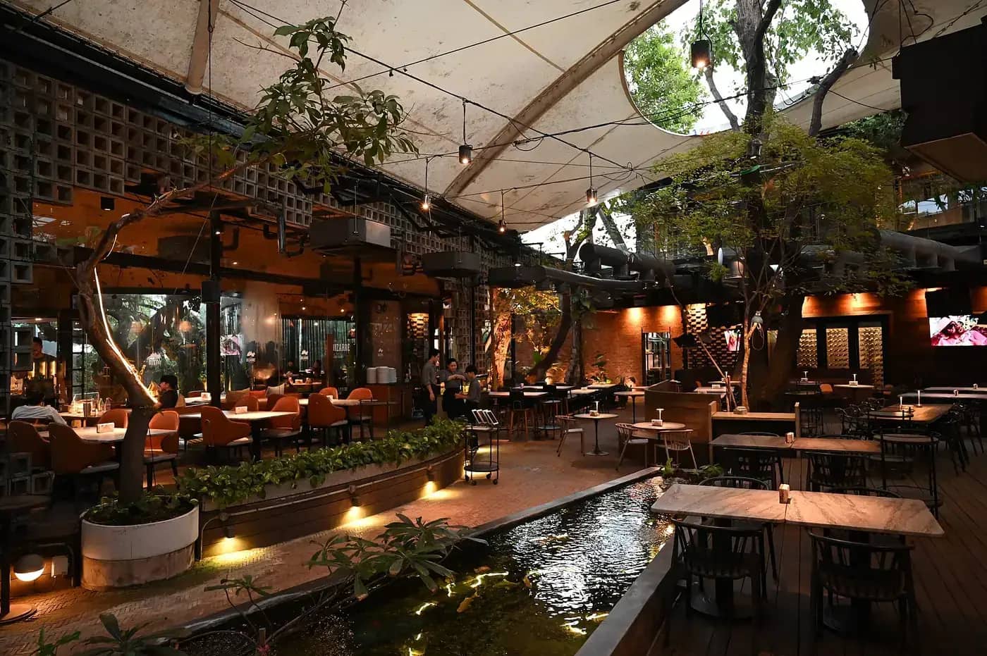 Terraza del salón al anochecer, con mesas bajo las luces cálidas y vegetación alrededor